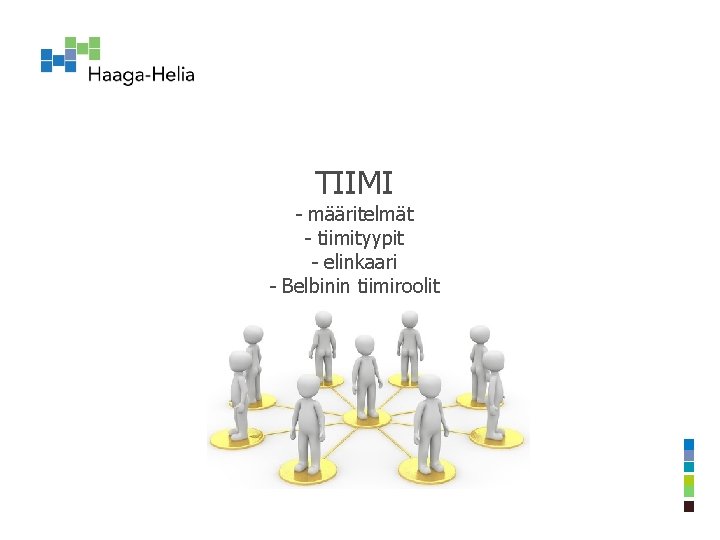 TIIMI - määritelmät - tiimityypit - elinkaari - Belbinin tiimiroolit 