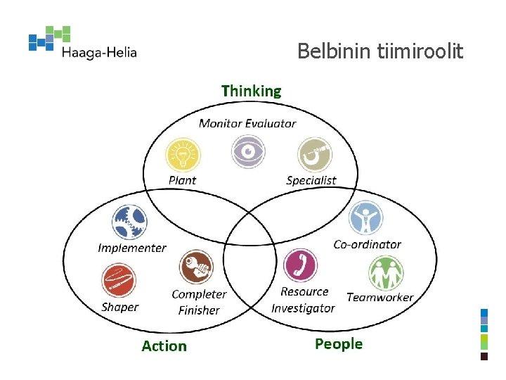 Belbinin tiimiroolit 