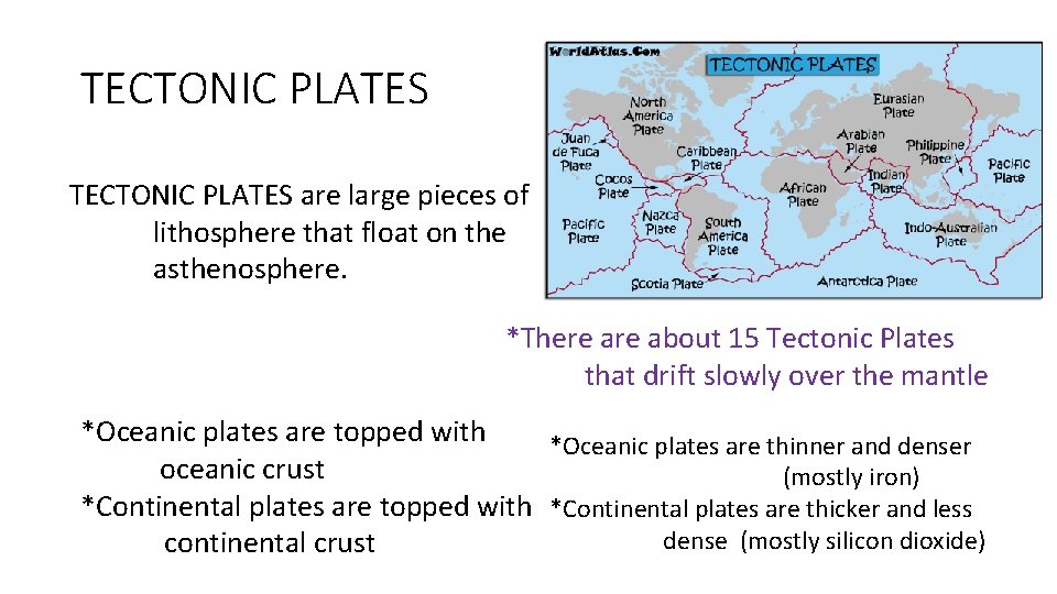 TECTONIC PLATES are large pieces of lithosphere that float on the asthenosphere. *There about TECTONIC PLATES are large pieces of lithosphere that float on the asthenosphere. *There about