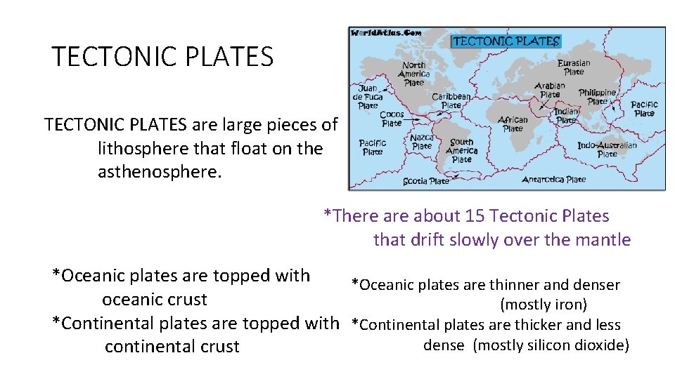 TECTONIC PLATES are large pieces of lithosphere that float on the asthenosphere. *There about
