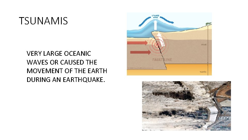 TSUNAMIS VERY LARGE OCEANIC WAVES OR CAUSED THE MOVEMENT OF THE EARTH DURING AN