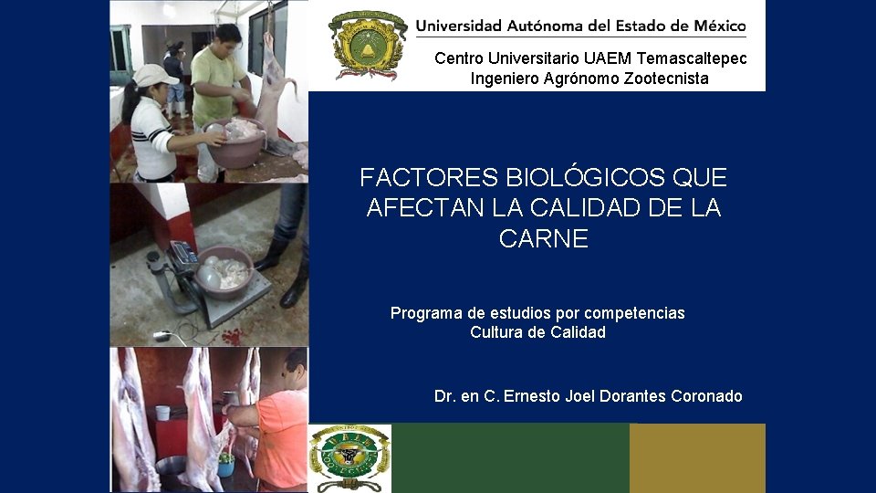 Centro Universitario UAEM Temascaltepec Ingeniero Agrónomo Zootecnista FACTORES BIOLÓGICOS QUE AFECTAN LA CALIDAD DE