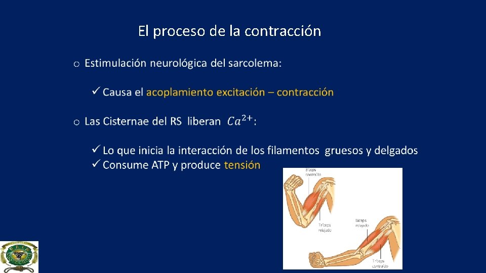 El proceso de la contracción 