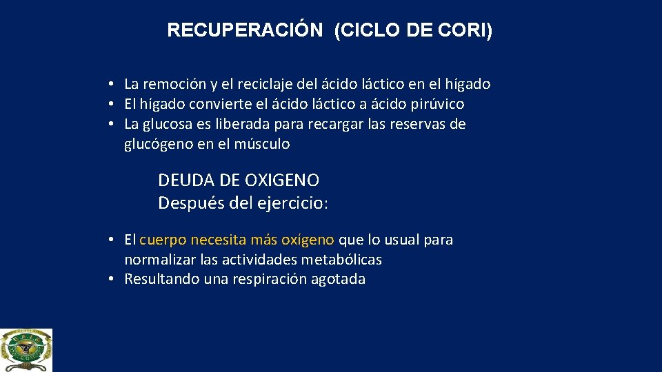 RECUPERACIÓN (CICLO DE CORI) • La remoción y el reciclaje del ácido láctico en