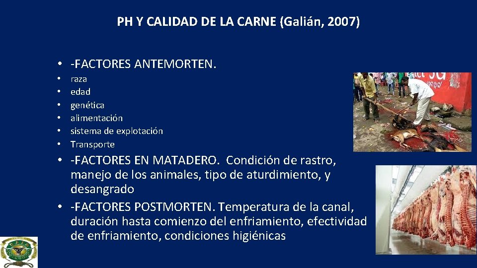 PH Y CALIDAD DE LA CARNE (Galián, 2007) • -FACTORES ANTEMORTEN. • • •