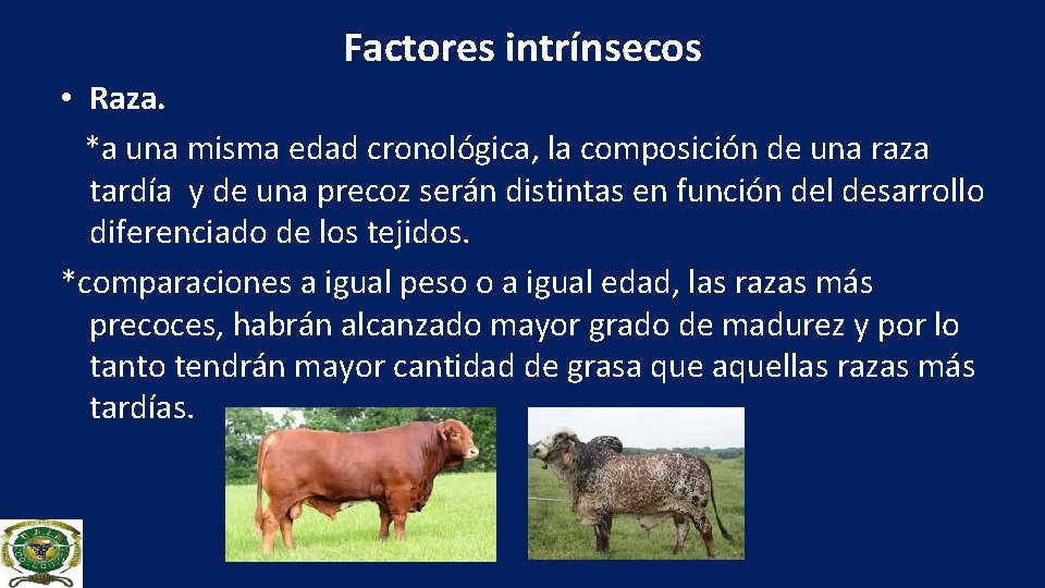 Factores intrínsecos • Raza. *a una misma edad cronológica, la composición de una raza