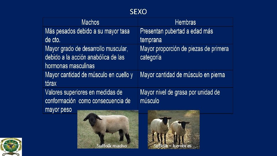 SEXO Suffolk macho Suffolk = hembras 