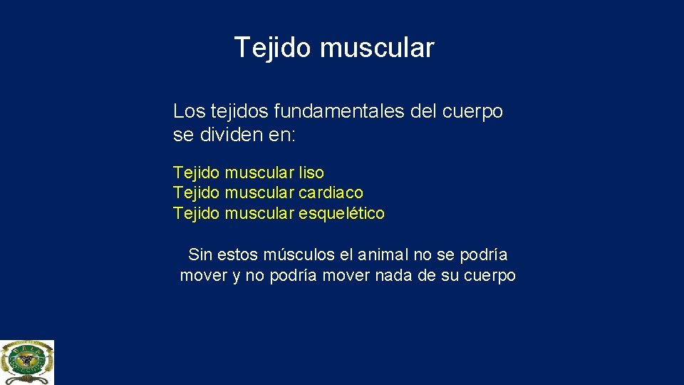 Tejido muscular Los tejidos fundamentales del cuerpo se dividen en: Tejido muscular liso Tejido