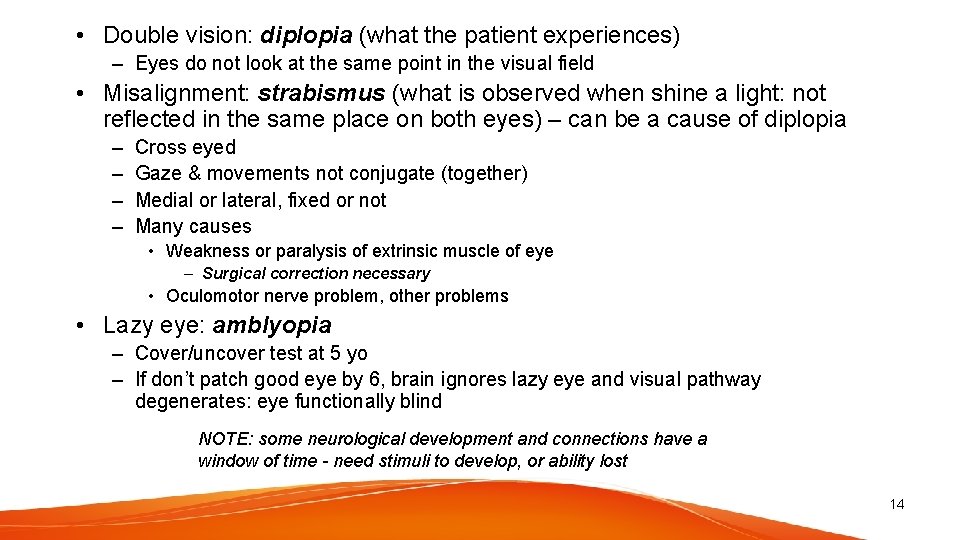 • Double vision: diplopia (what the patient experiences) – Eyes do not look