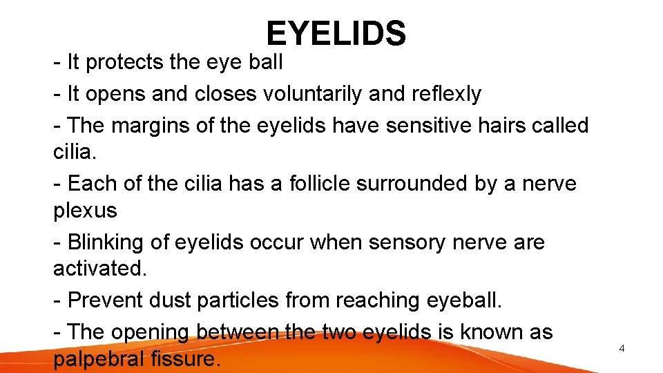 EYELIDS - It protects the eye ball - It opens and closes voluntarily and