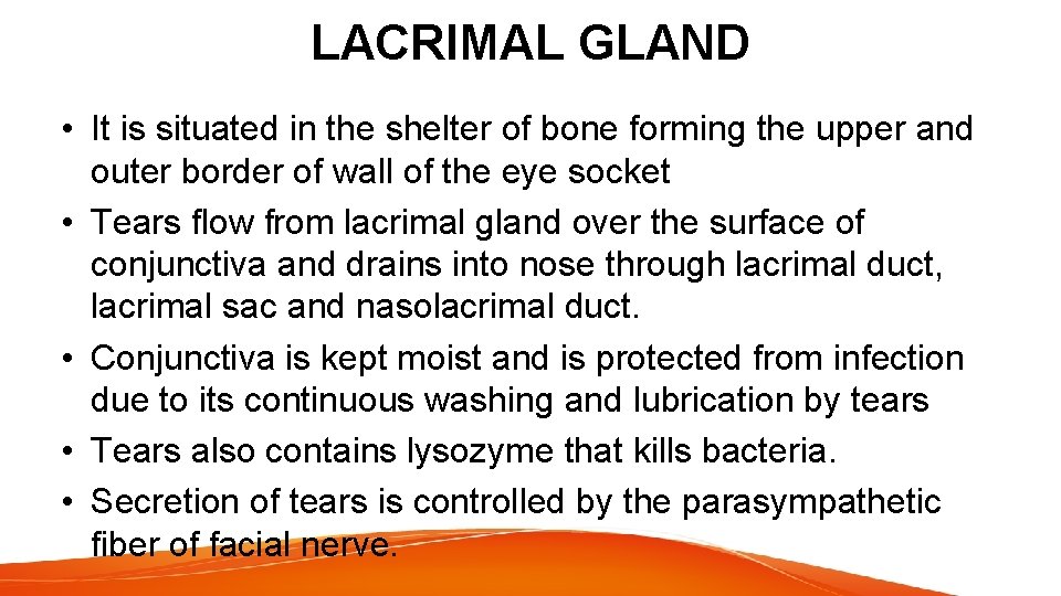 LACRIMAL GLAND • It is situated in the shelter of bone forming the upper