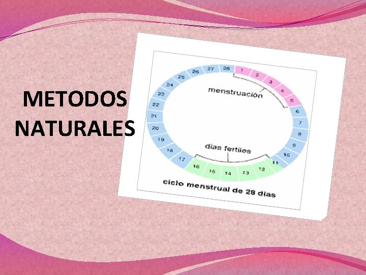 METODOS NATURALES 