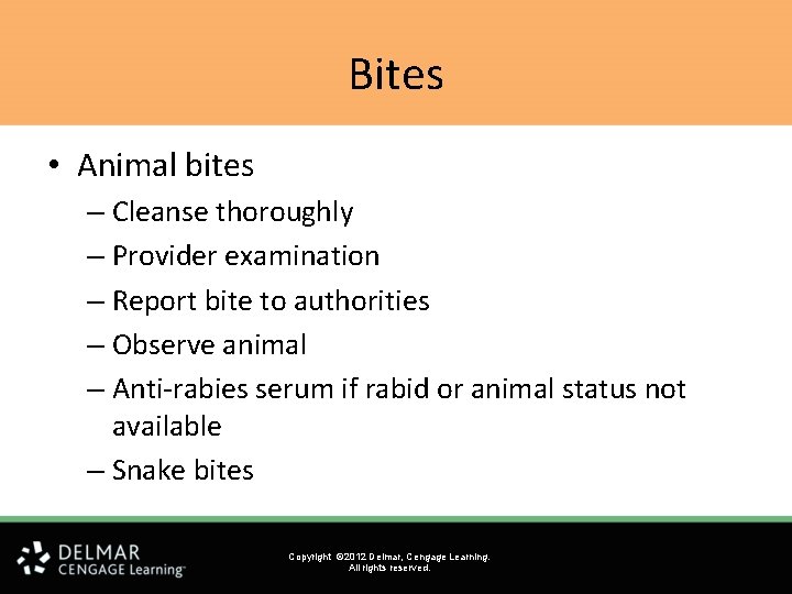 Bites • Animal bites – Cleanse thoroughly – Provider examination – Report bite to