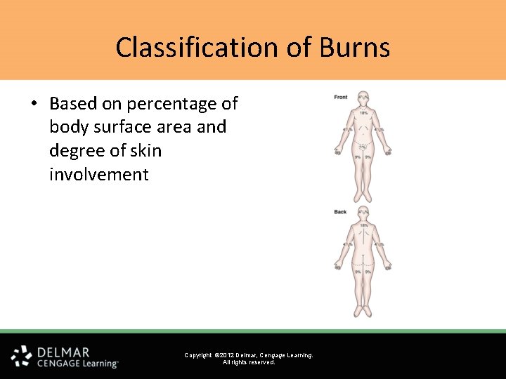 Classification of Burns • Based on percentage of body surface area and degree of