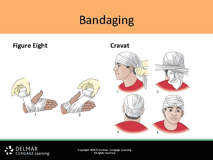 Bandaging Figure Eight Cravat Copyright © 2012 Delmar, Cengage Learning. All rights reserved. 