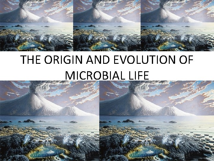 THE ORIGIN AND EVOLUTION OF MICROBIAL LIFE 