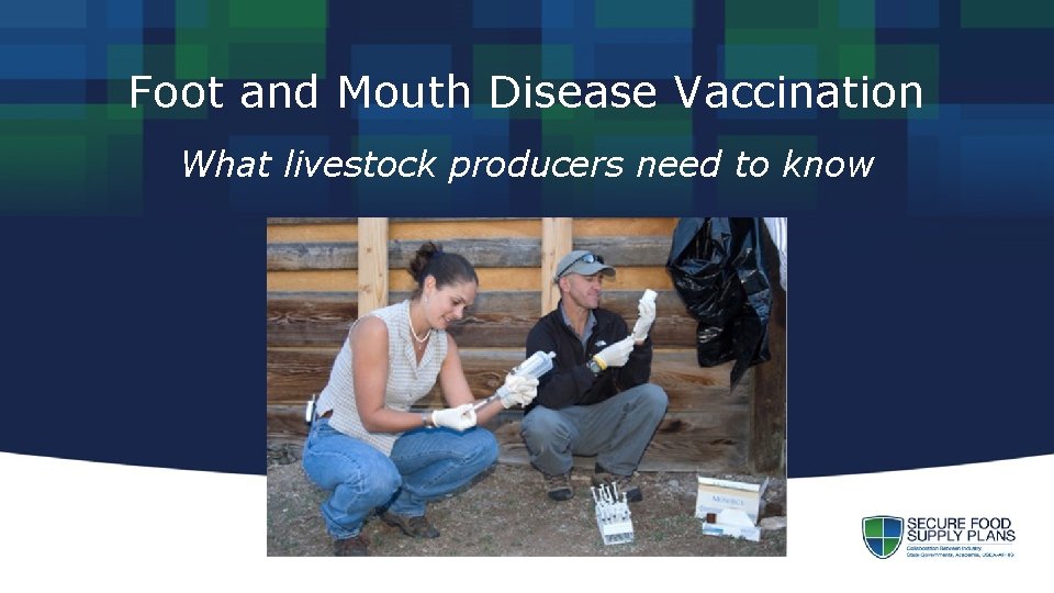 Foot and Mouth Disease Vaccination What livestock producers need to know 