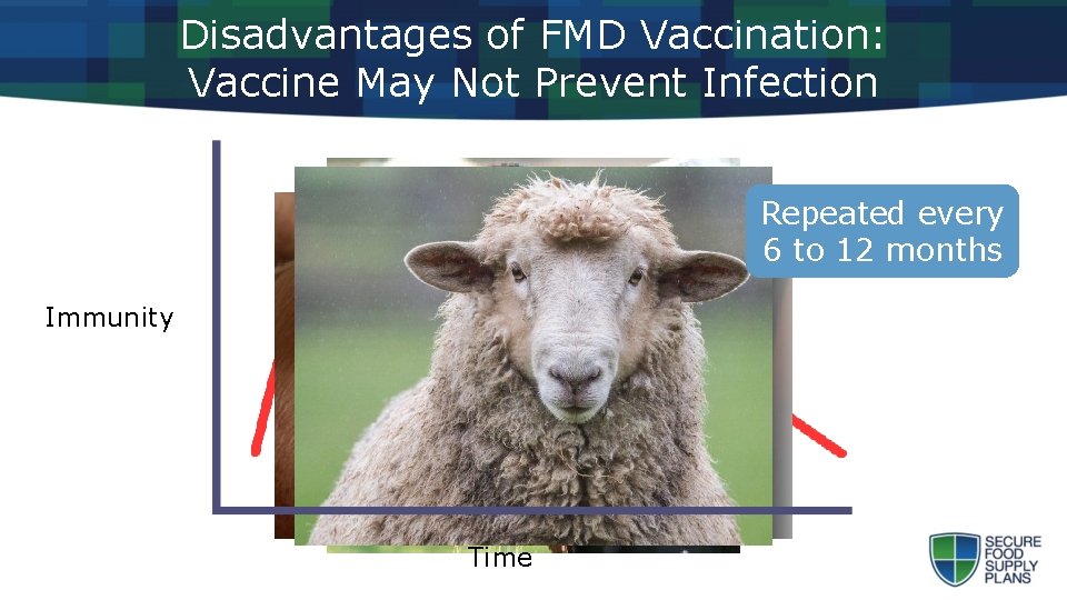 Disadvantages of FMD Vaccination: Vaccine May Not Prevent Infection Repeated every 6 to 12