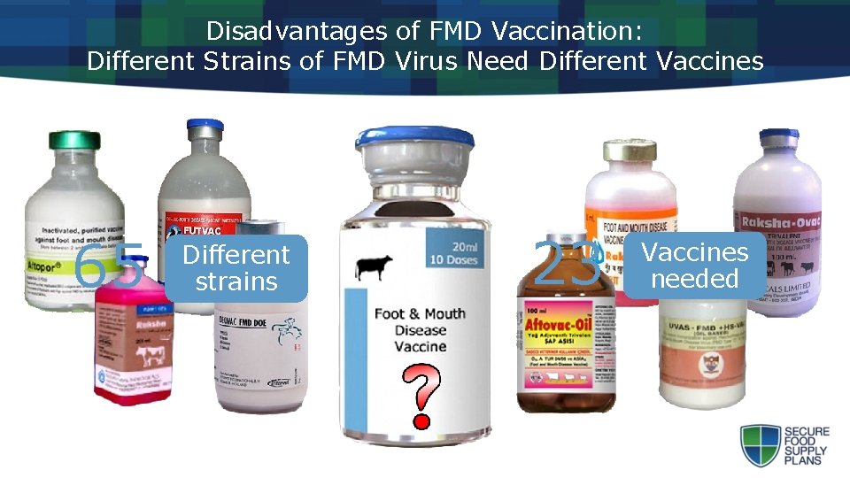 Disadvantages of FMD Vaccination: Different Strains of FMD Virus Need Different Vaccines 65 Different