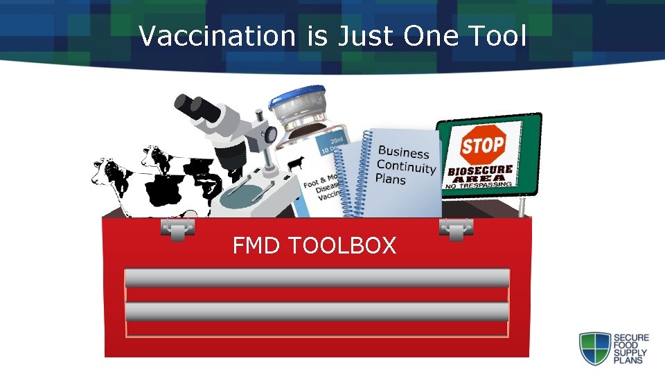 Vaccination is Just One Tool FMD TOOLBOX 