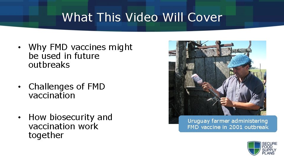 What This Video Will Cover • Why FMD vaccines might be used in future