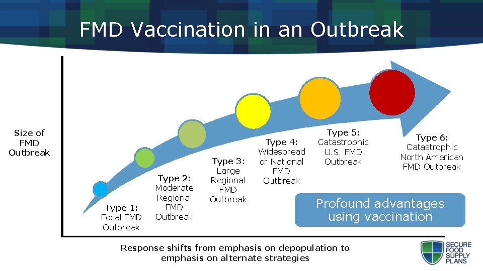 FMD Vaccination in an Outbreak Size of FMD Outbreak Type 1: Focal FMD Outbreak