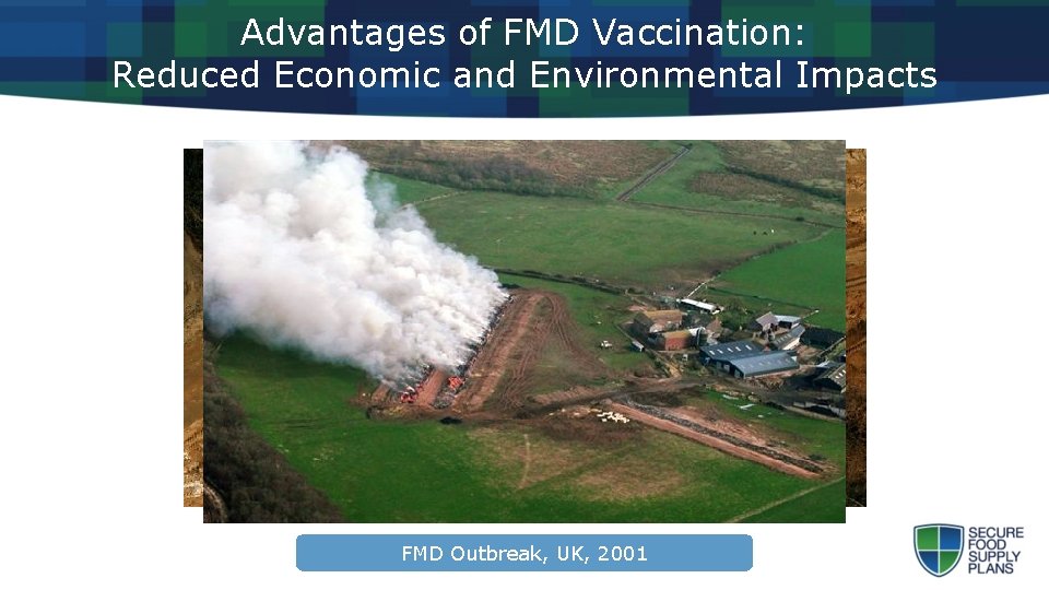 Advantages of FMD Vaccination: Reduced Economic and Environmental Impacts Heat. FMD Stress FMD Outbreak,
