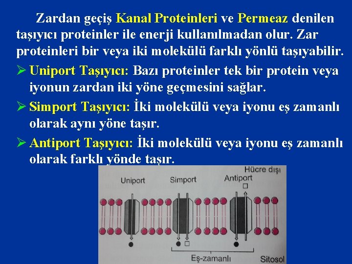 Zardan geçiş Kanal Proteinleri ve Permeaz denilen taşıyıcı proteinler ile enerji kullanılmadan olur. Zar