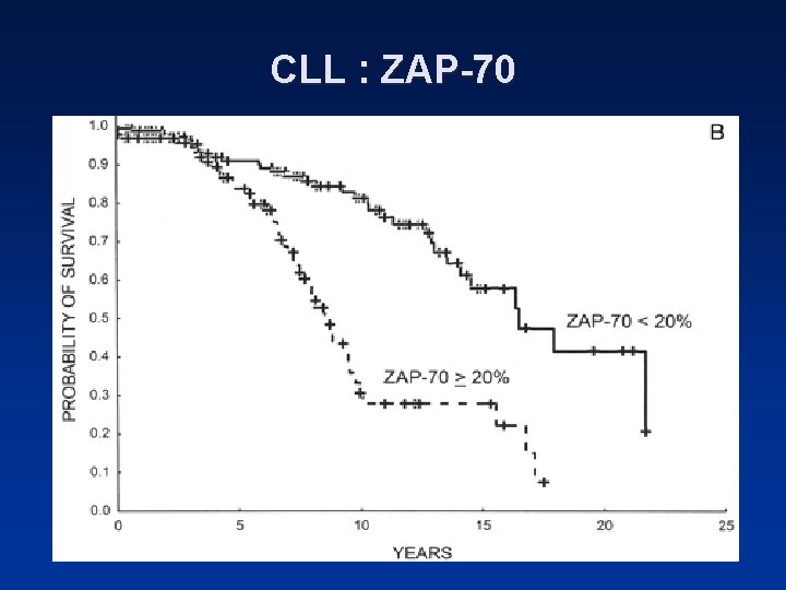 CLL : ZAP-70 