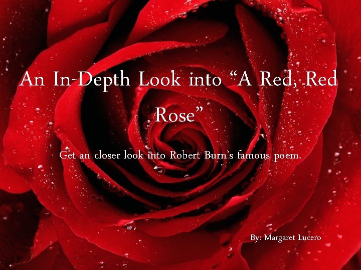 An In-Depth Look into “A Red, Red Rose” Get an closer look into Robert