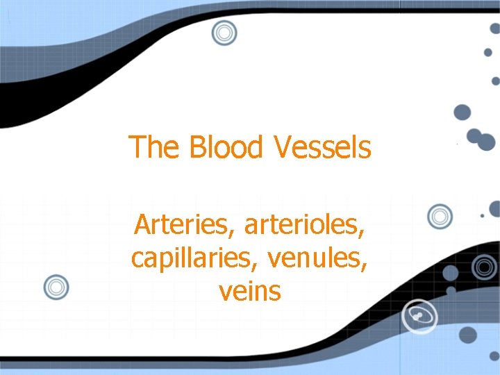 The Blood Vessels Arteries, arterioles, capillaries, venules, veins 