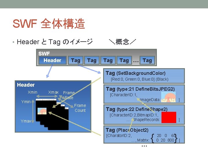 SWF 全体構造 • Header と Tag のイメージ SWF Header Tag ＼概念／ Tag … Tag