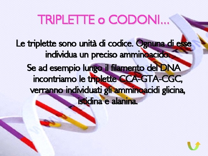 INDICE CROMATINA DNA IL CODICE GENETICO I GENI