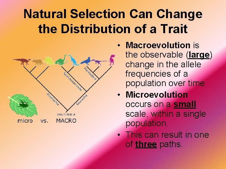 Natural Selection Can Change the Distribution of a Trait • Macroevolution is the observable