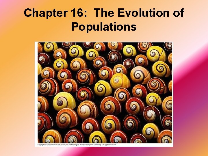 Chapter 16: The Evolution of Populations 