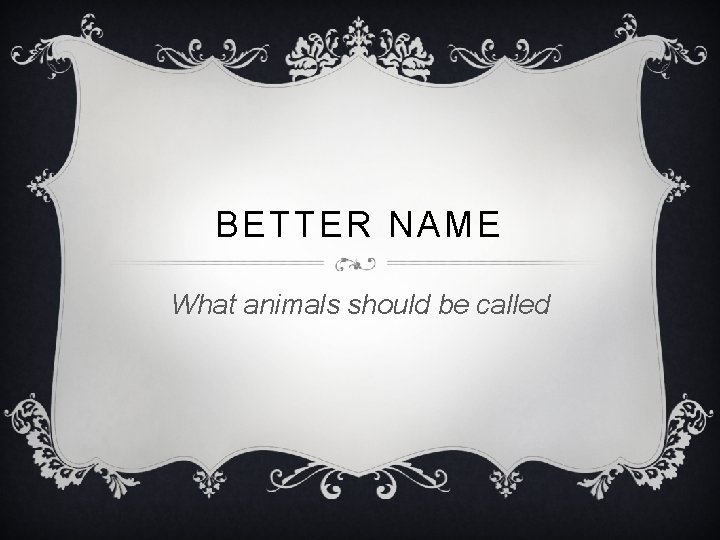 BETTER NAME What animals should be called 