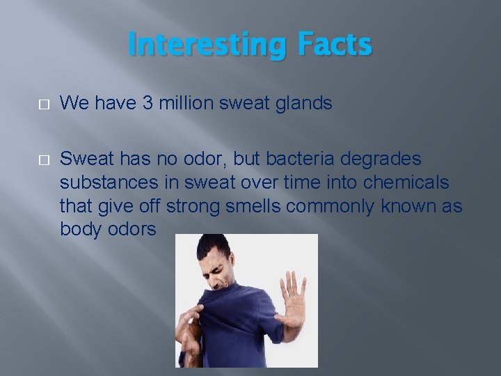 Interesting Facts � We have 3 million sweat glands � Sweat has no odor, Interesting Facts � We have 3 million sweat glands � Sweat has no odor,