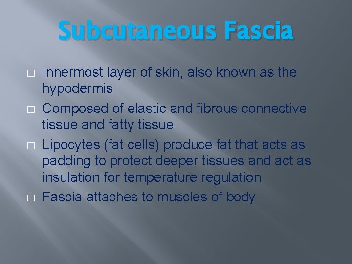 Subcutaneous Fascia � � Innermost layer of skin, also known as the hypodermis Composed Subcutaneous Fascia � � Innermost layer of skin, also known as the hypodermis Composed