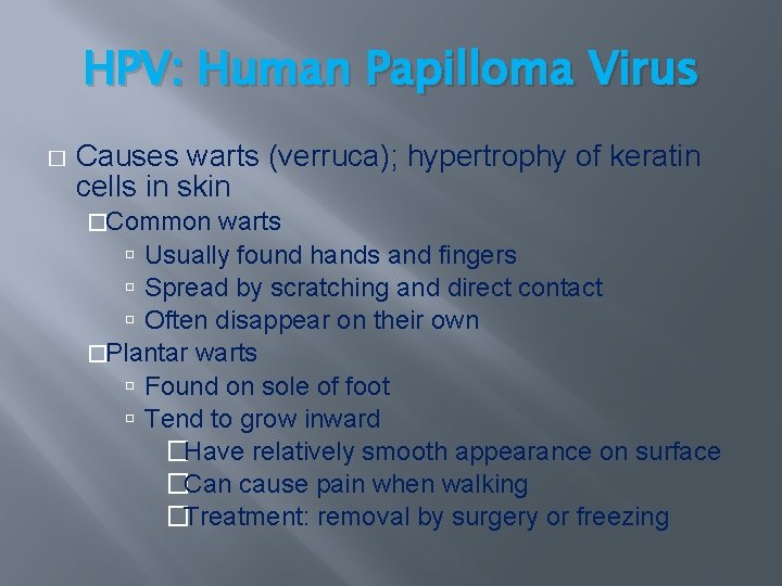 HPV: Human Papilloma Virus � Causes warts (verruca); hypertrophy of keratin cells in skin HPV: Human Papilloma Virus � Causes warts (verruca); hypertrophy of keratin cells in skin