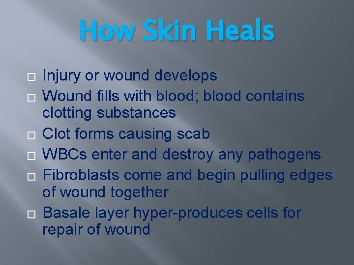 How Skin Heals � � � Injury or wound develops Wound fills with blood; How Skin Heals � � � Injury or wound develops Wound fills with blood;
