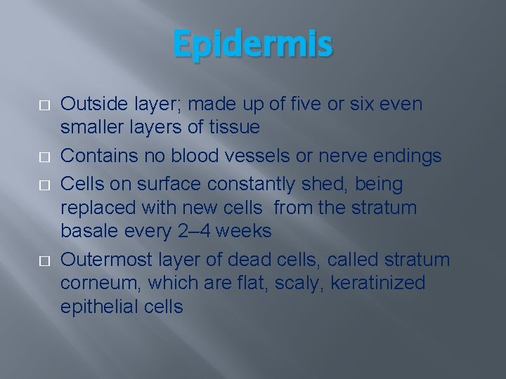 Epidermis � � Outside layer; made up of five or six even smaller layers Epidermis � � Outside layer; made up of five or six even smaller layers