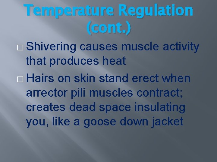 Temperature Regulation (cont. ) � Shivering causes muscle activity that produces heat � Hairs Temperature Regulation (cont. ) � Shivering causes muscle activity that produces heat � Hairs