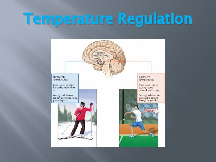 Temperature Regulation Temperature Regulation