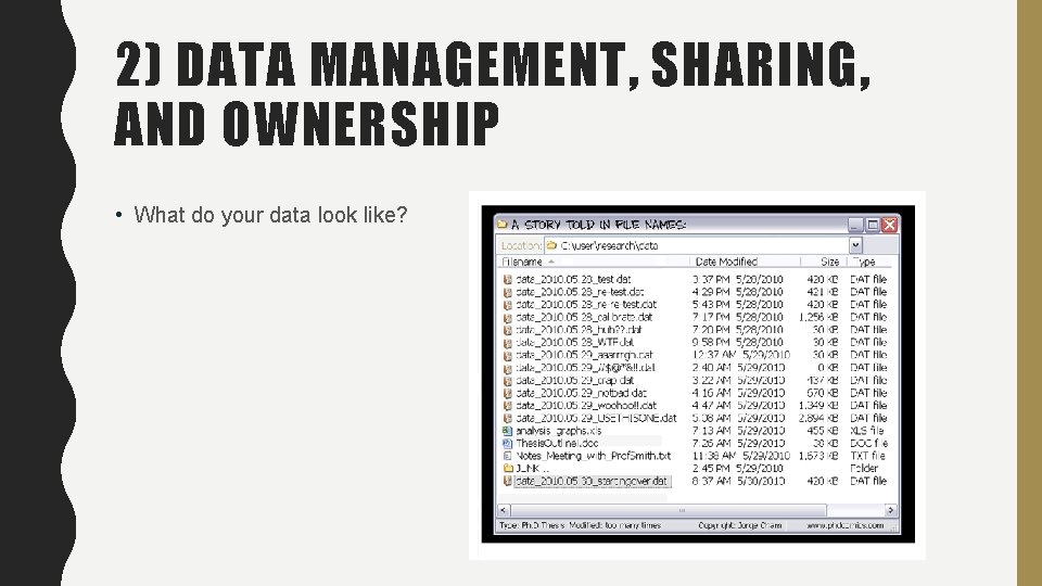 2) DATA MANAGEMENT, SHARING, AND OWNERSHIP • What do your data look like? 