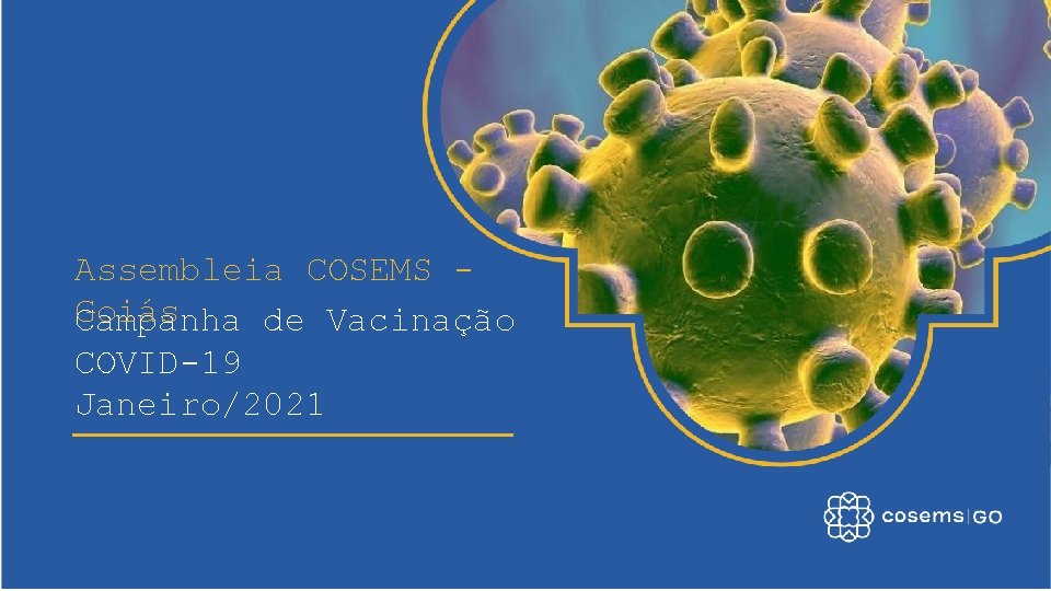 Assembleia COSEMS Goiás Campanha de Vacinação COVID-19 Janeiro/2021 