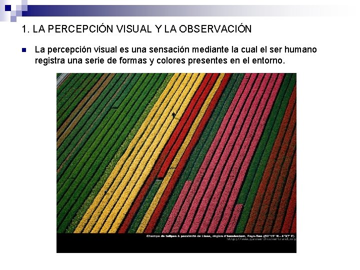 BLOQUE I COMUNICACIN VISUAL UD 1 PERCEPCIN Y