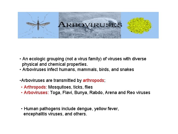  • An ecologic grouping (not a virus family) of viruses with diverse physical