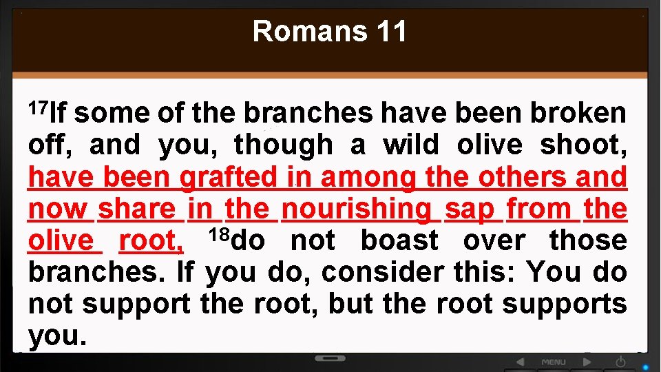 Romans 11 17 If some of the branches have been broken off, and you,