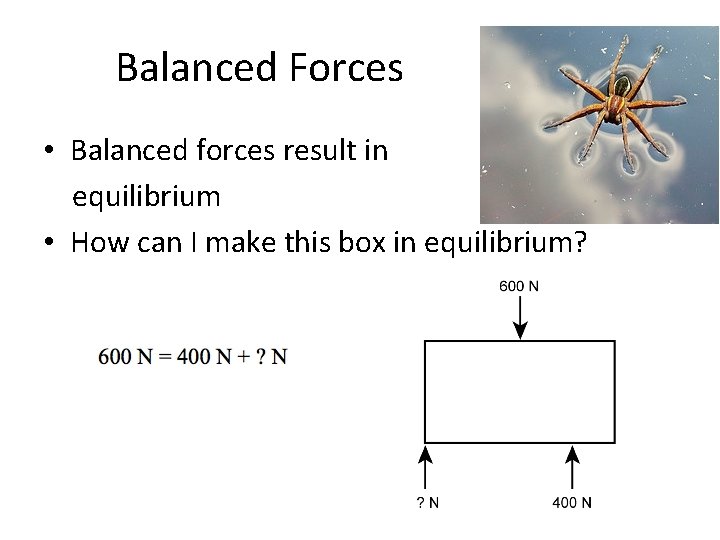 Balanced Forces • Balanced forces result in equilibrium • How can I make this Balanced Forces • Balanced forces result in equilibrium • How can I make this
