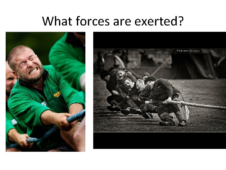 What forces are exerted? What forces are exerted?